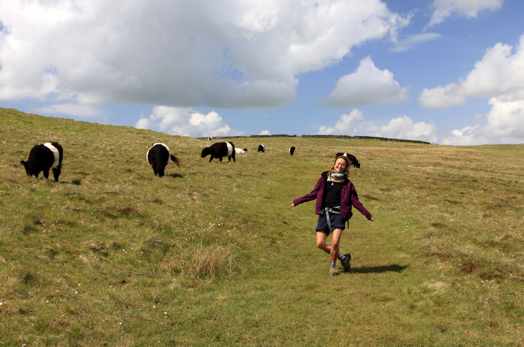 England - Yorkshire dales 034